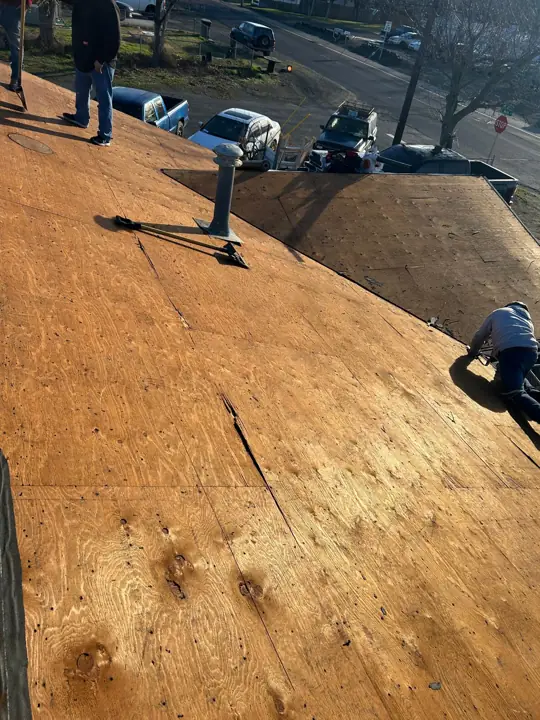 Crew installing new plywood roof decking